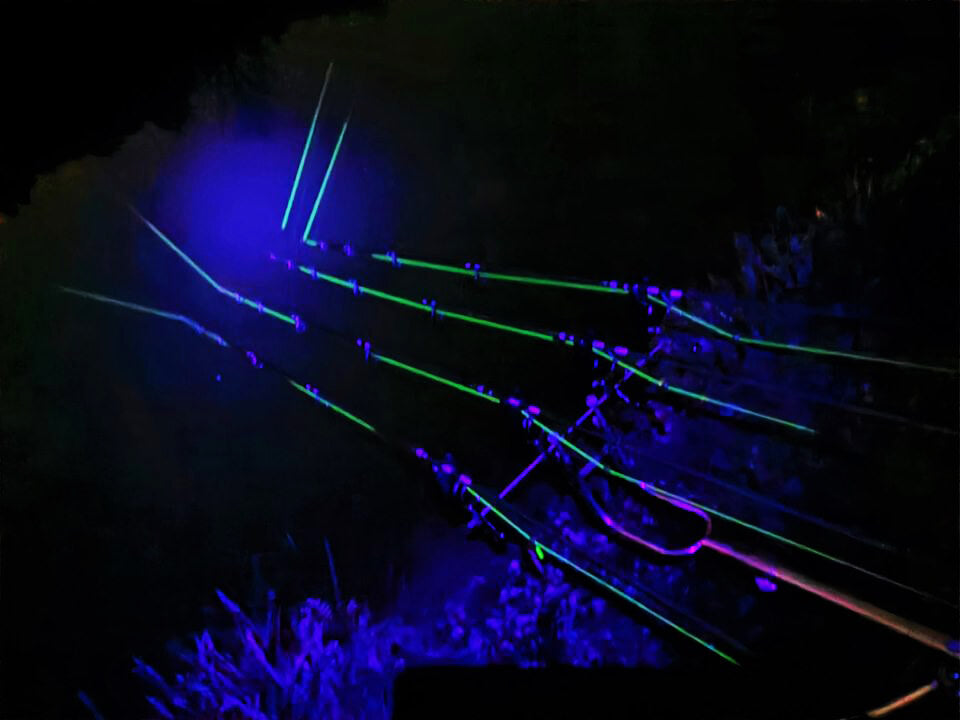 Synapse Neon